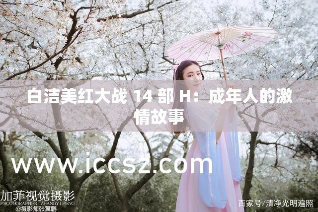 白洁美红大战 14 部 H：成年人的激情故事