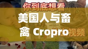 美国人与畜禽 Croproation365 高清视频免费看：独特视角揭秘