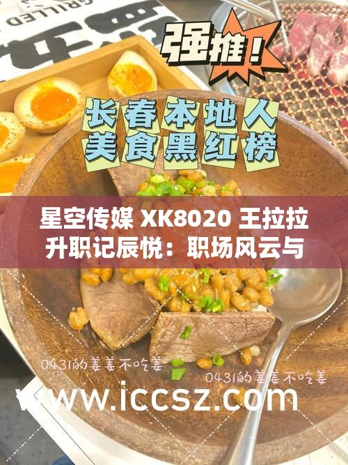 星空传媒 XK8020 王拉拉升职记辰悦：职场风云与情感纠葛