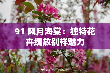 91 风月海棠：独特花卉绽放别样魅力