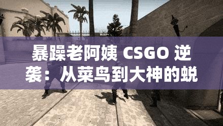 暴躁老阿姨 CSGO 逆袭：从菜鸟到大神的蜕变之路