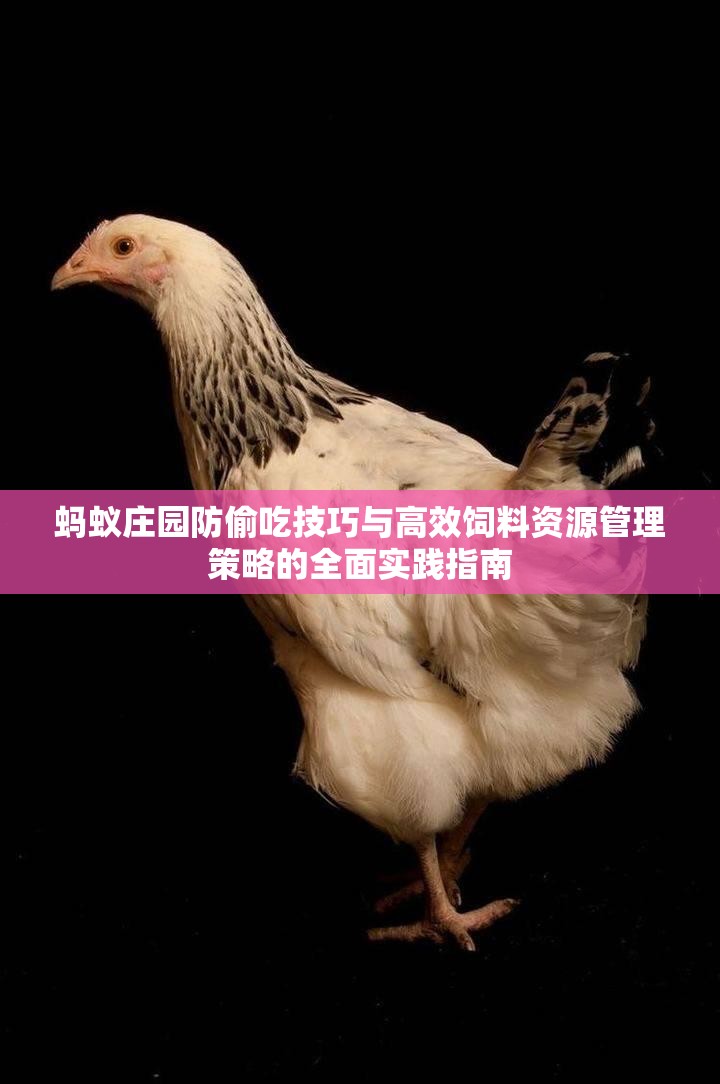 蚂蚁庄园防偷吃技巧与高效饲料资源管理策略的全面实践指南