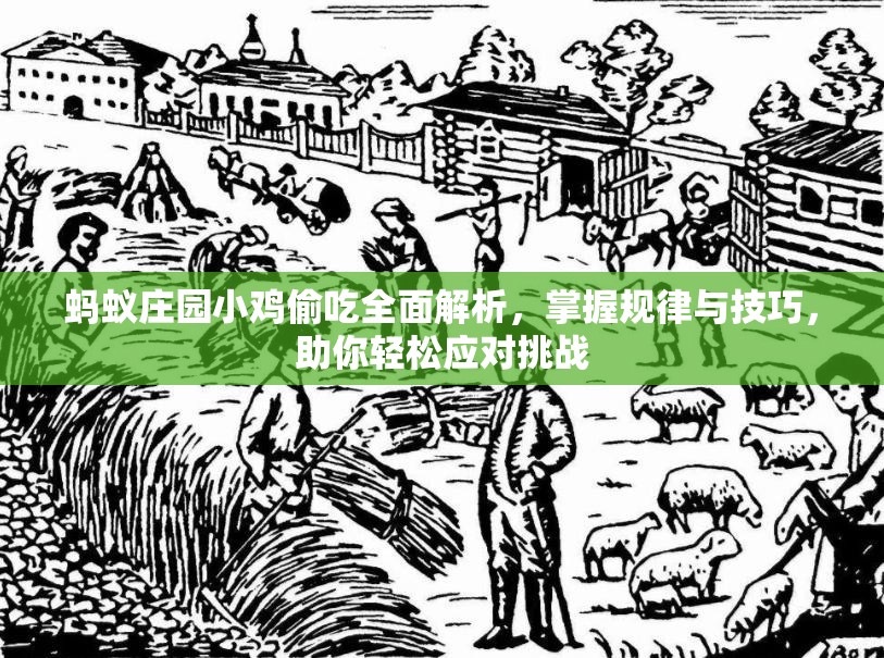 蚂蚁庄园小鸡偷吃全面解析，掌握规律与技巧，助你轻松应对挑战