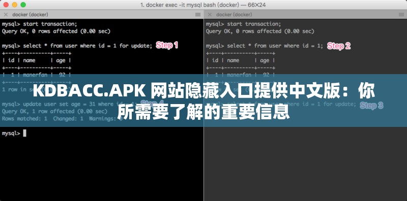 KDBACC.APK 网站隐藏入口提供中文版：你所需要了解的重要信息