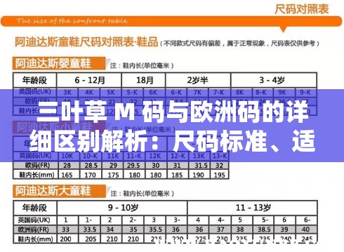 三叶草 M 码与欧洲码的详细区别解析：尺码标准、适用人群等全方位解读