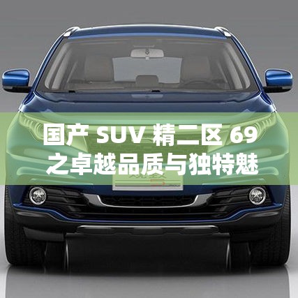 国产 SUV 精二区 69 之卓越品质与独特魅力