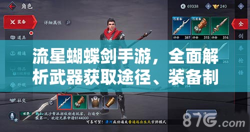 流星蝴蝶剑手游，全面解析武器获取途径、装备制造方法及资源管理技巧