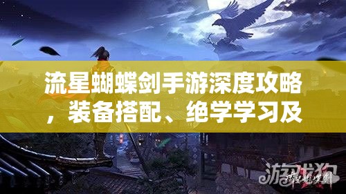 流星蝴蝶剑手游深度攻略，装备搭配、绝学学习及资源管理艺术全解析