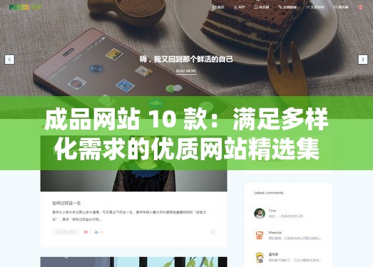 成品网站 10 款：满足多样化需求的优质网站精选集