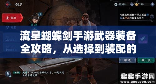 流星蝴蝶剑手游武器装备全攻略，从选择到装配的详细解析