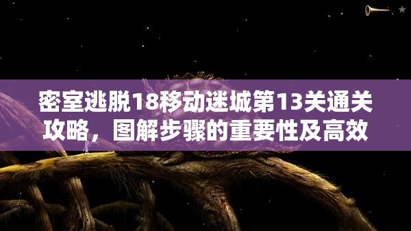 密室逃脱18移动迷城第13关通关攻略，图解步骤的重要性及高效管理技巧