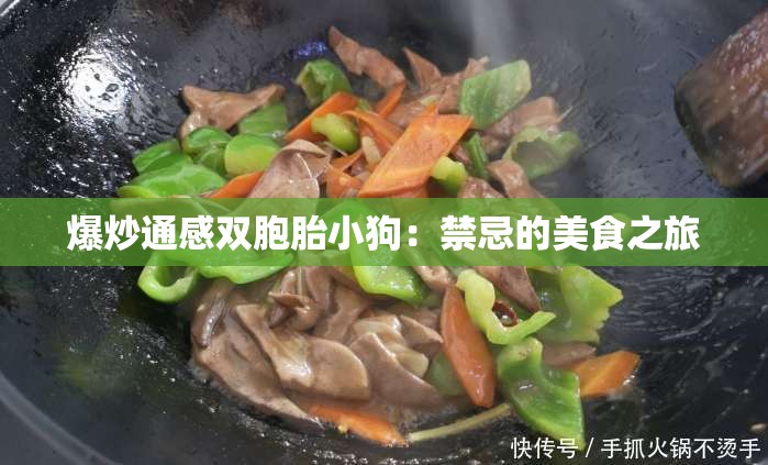 爆炒通感双胞胎小狗：禁忌的美食之旅