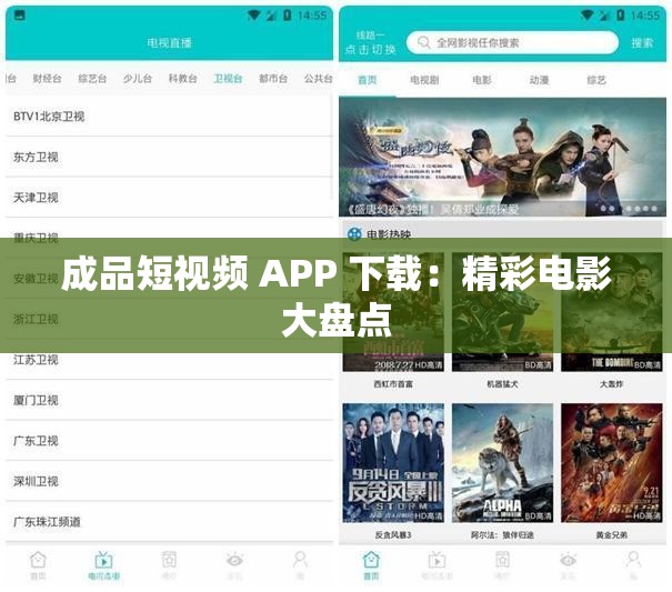 成品短视频 APP 下载：精彩电影大盘点