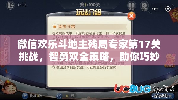 微信欢乐斗地主残局专家第17关挑战，智勇双全策略，助你巧妙破解难关