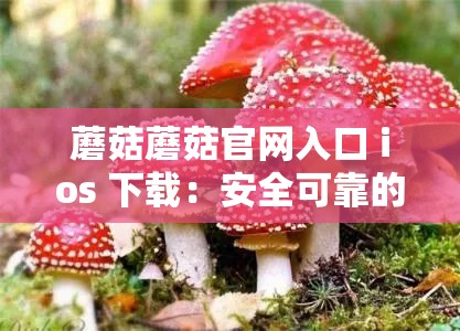 蘑菇蘑菇官网入口 ios 下载：安全可靠的应用平台