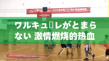 ワルキューレがとまらない 激情燃烧的热血之歌