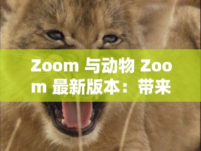 Zoom 与动物 Zoom 最新版本：带来全新奇妙体验之旅