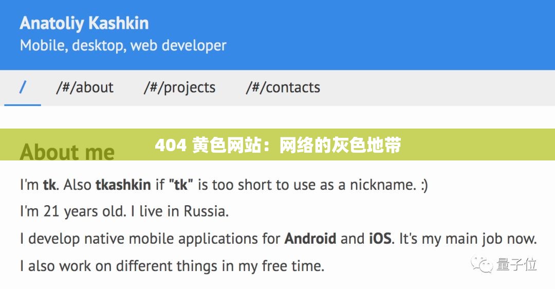 404 黄色网站：网络的灰色地带