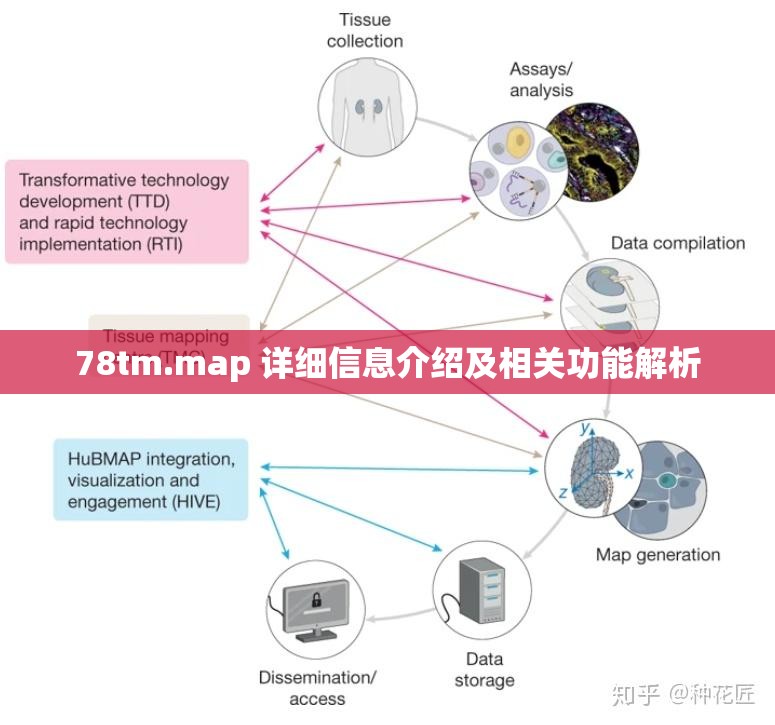 78tm.map 详细信息介绍及相关功能解析