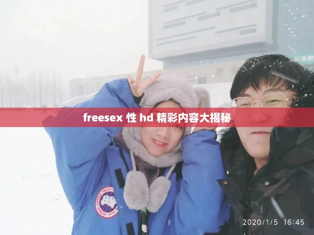 freesex 性 hd 精彩内容大揭秘