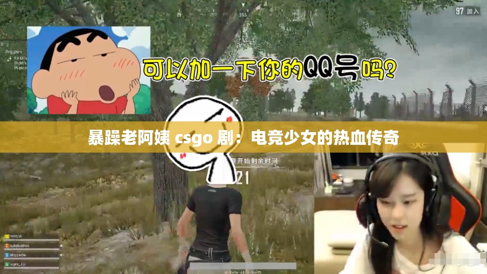 暴躁老阿姨 csgo 剧：电竞少女的热血传奇