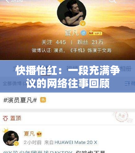 快播怡红：一段充满争议的网络往事回顾