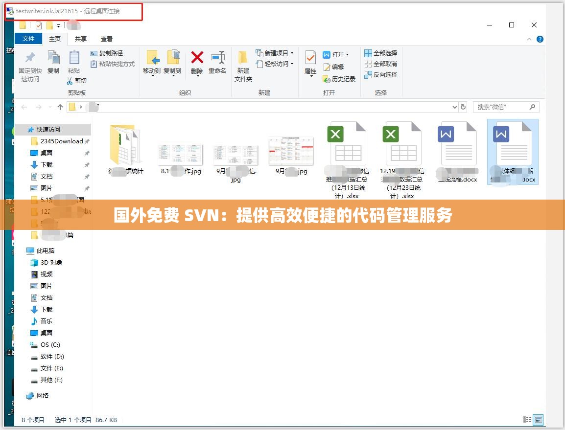 国外免费 SVN：提供高效便捷的代码管理服务