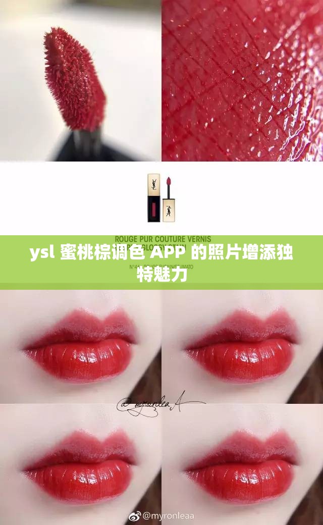 ysl 蜜桃棕调色 APP 的照片增添独特魅力