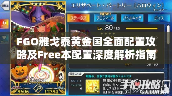 FGO雅戈泰黄金国全面配置攻略及Free本配置深度解析指南