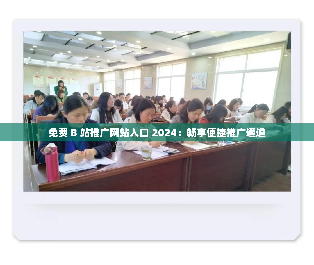 免费 B 站推广网站入口 2024：畅享便捷推广通道