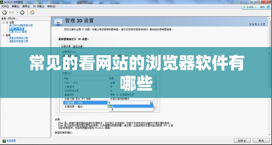 常见的看网站的浏览器软件有哪些