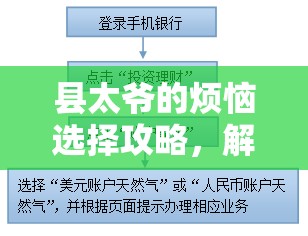 县太爷的烦恼选择攻略，解析资源管理在任务中的重要性及实施高效策略