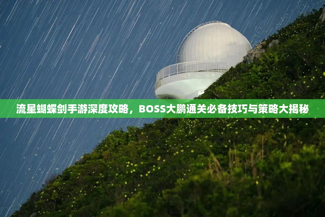 流星蝴蝶剑手游深度攻略，BOSS大鹏通关必备技巧与策略大揭秘