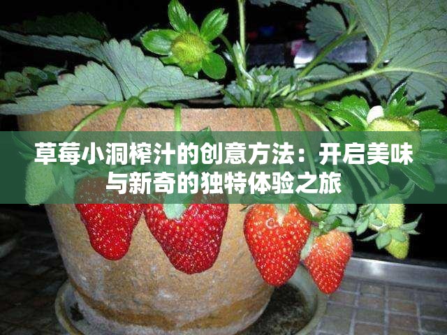 草莓小洞榨汁的创意方法：开启美味与新奇的独特体验之旅