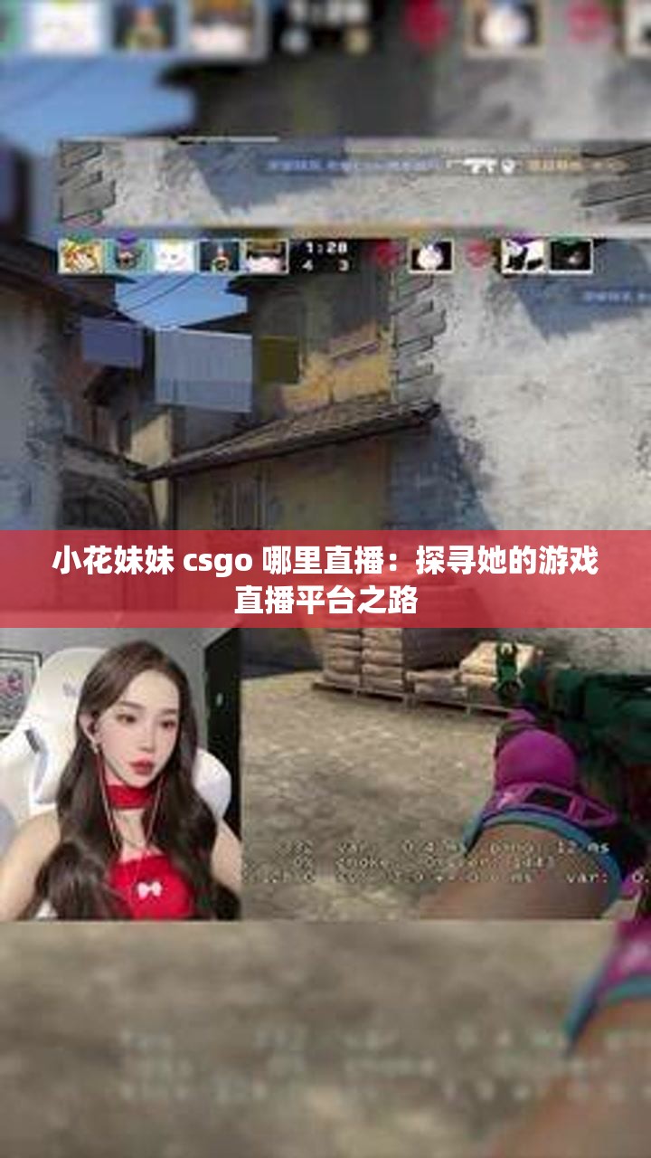 小花妹妹 csgo 哪里直播：探寻她的游戏直播平台之路