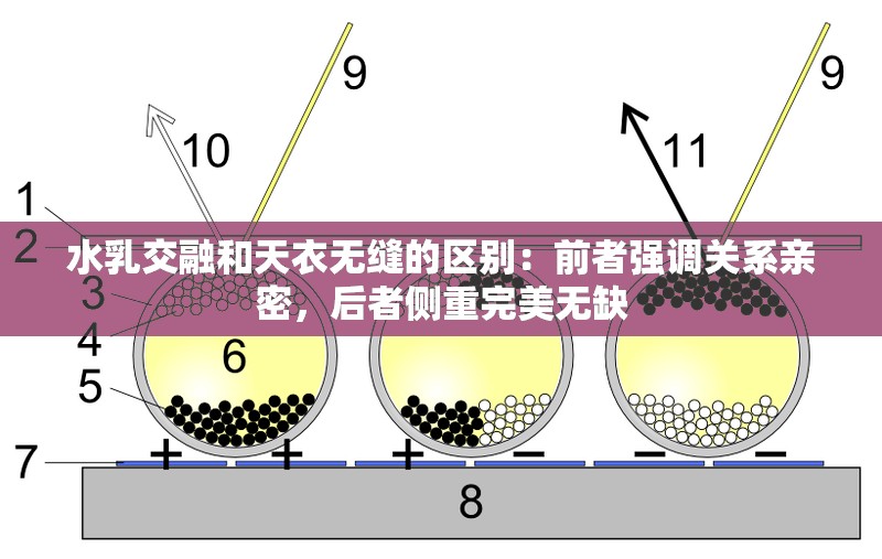 水乳交融和天衣无缝的区别：前者强调关系亲密，后者侧重完美无缺