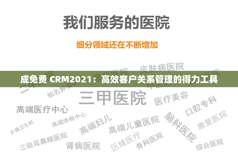 成免费 CRM2021：高效客户关系管理的得力工具