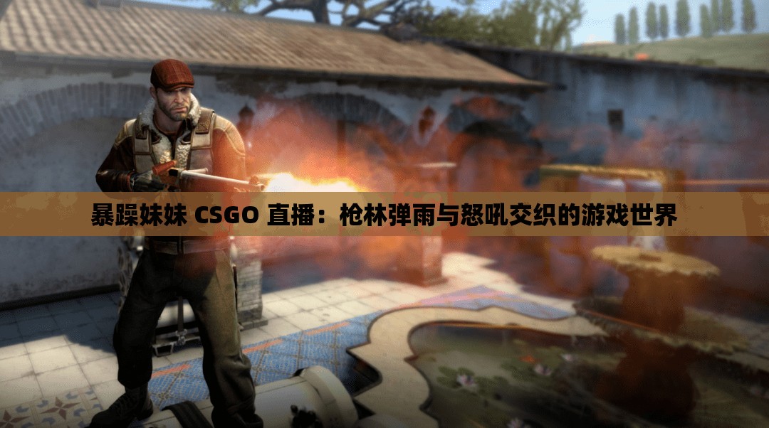 暴躁妹妹 CSGO 直播：枪林弹雨与怒吼交织的游戏世界