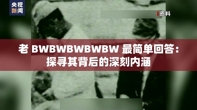 老 BWBWBWBWBW 最简单回答：探寻其背后的深刻内涵