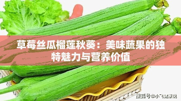 草莓丝瓜榴莲秋葵：美味蔬果的独特魅力与营养价值