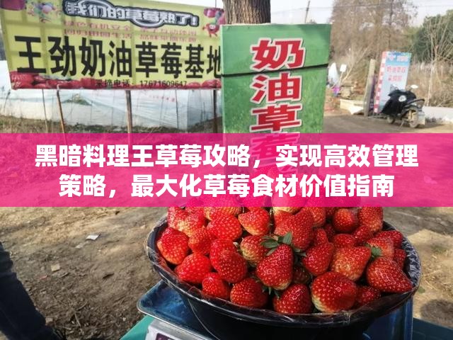 黑暗料理王草莓攻略，实现高效管理策略，最大化草莓食材价值指南