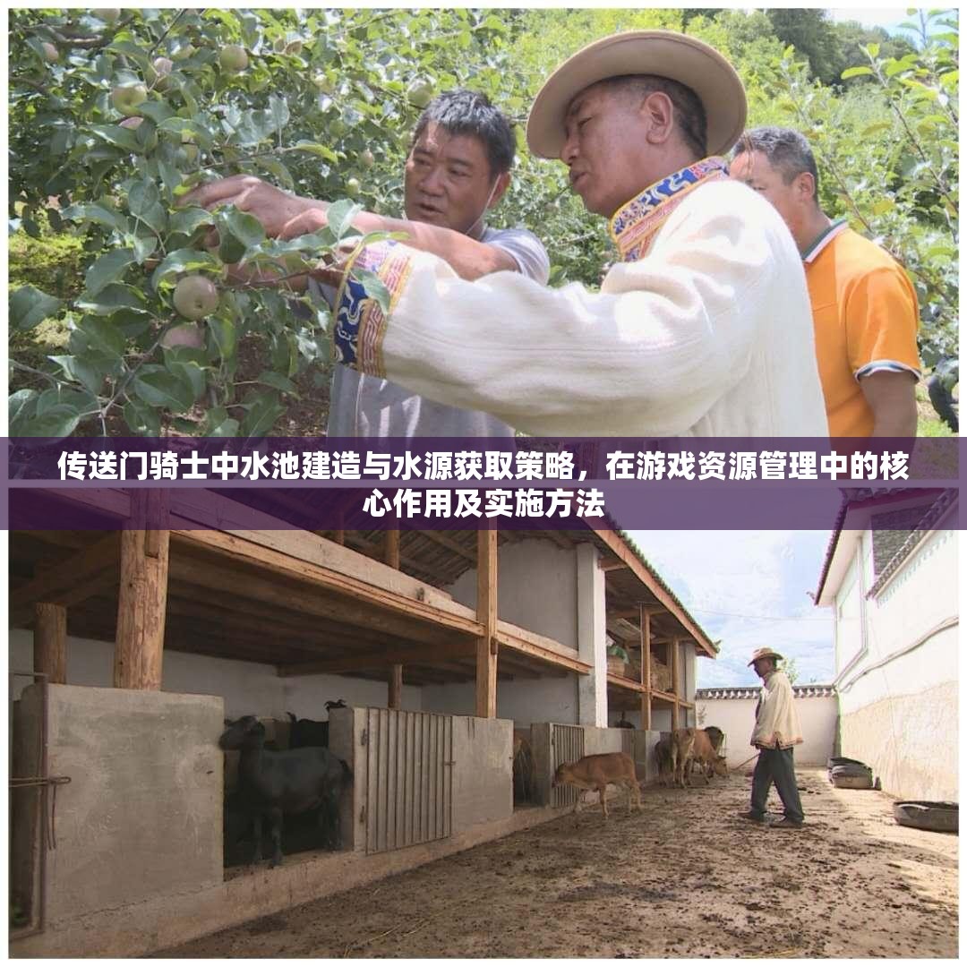 传送门骑士中水池建造与水源获取策略，在游戏资源管理中的核心作用及实施方法