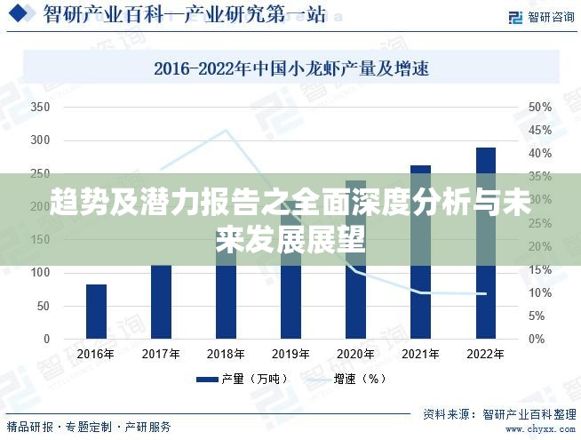 趋势及潜力报告之全面深度分析与未来发展展望