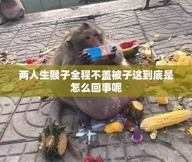 两人生猴子全程不盖被子这到底是怎么回事呢