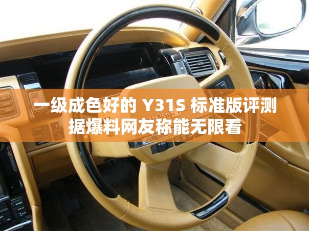 一级成色好的 Y31S 标准版评测据爆料网友称能无限看