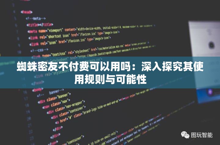 蜘蛛密友不付费可以用吗：深入探究其使用规则与可能性