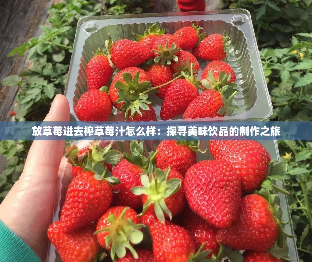 放草莓进去榨草莓汁怎么样：探寻美味饮品的制作之旅