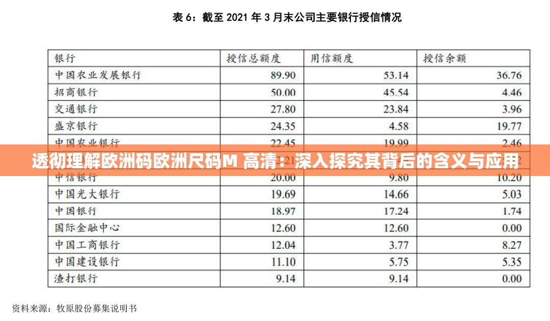 透彻理解欧洲码欧洲尺码M 高清：深入探究其背后的含义与应用