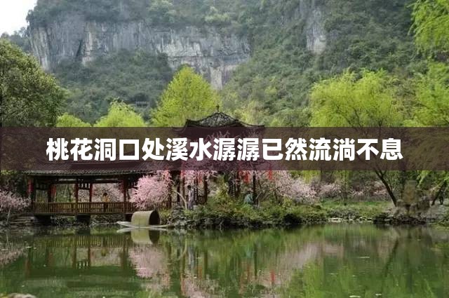 桃花洞口处溪水潺潺已然流淌不息