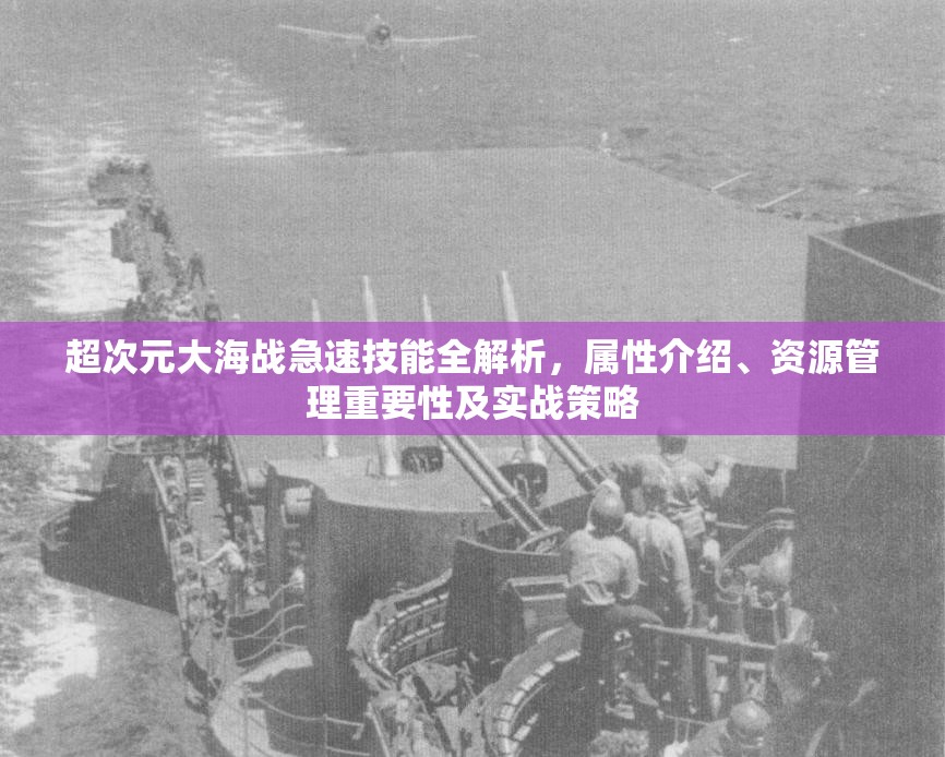 超次元大海战急速技能全解析，属性介绍、资源管理重要性及实战策略